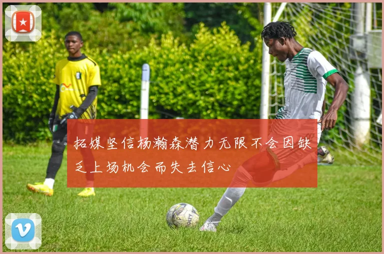 拓媒坚信杨瀚森潜力无限不会因缺乏上场机会而失去信心